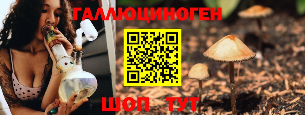 Галлюциногенные грибы MAGIC MUSHROOMS  Вход с VPN  Ливны 